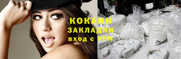 прущие грибы Вязьма