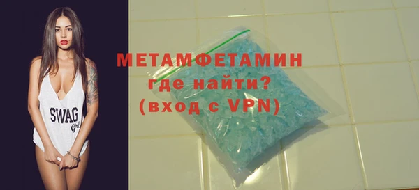 прущие грибы Вязьма