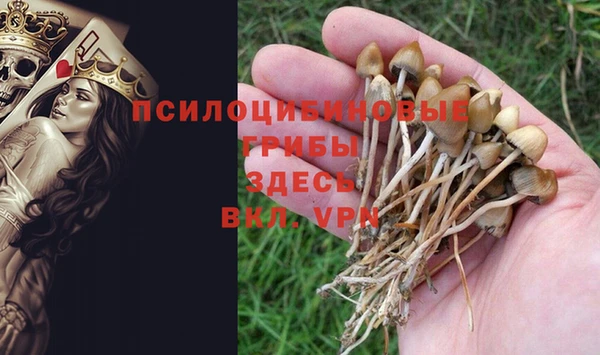 соль курить ск Гусиноозёрск