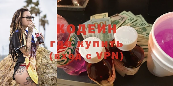 прущие грибы Вязьма