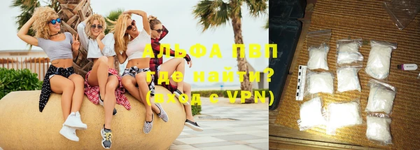 прущие грибы Вязьма