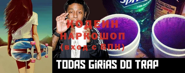 прущие грибы Вязьма